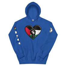 Load image into Gallery viewer, Free Palestine Unisex Hoodie