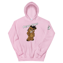 Load image into Gallery viewer, Primo Stars Logo Bear Unisex Hoodie